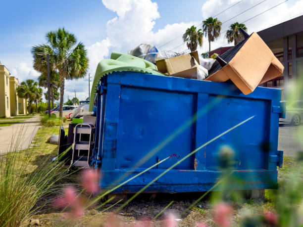 Best Yard Cleanup Services  in Stone Park, IL